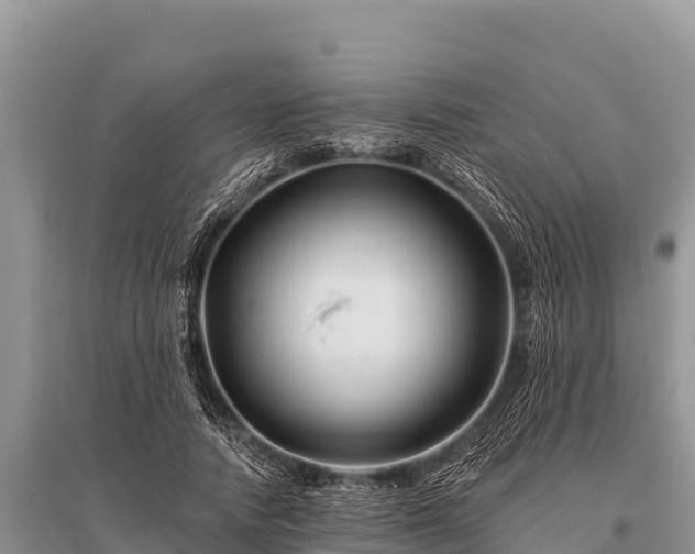 X0000096190738200801251240