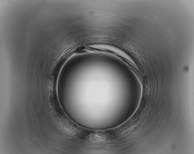 X0000096190739200801251240