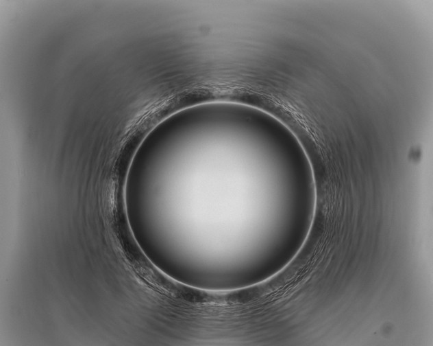 X0000096190740200801251240