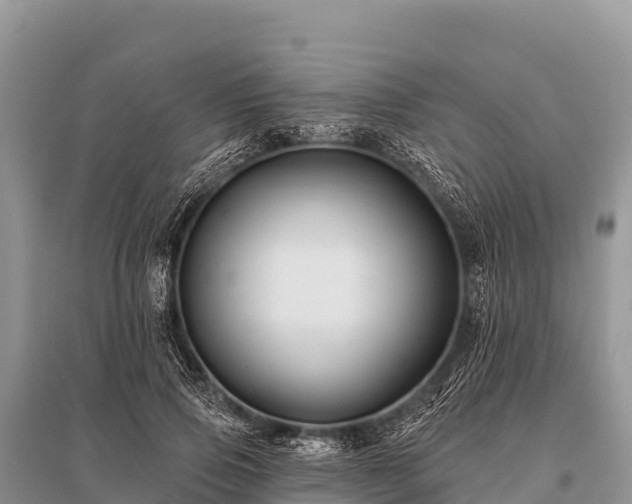 X0000096190741200801251240