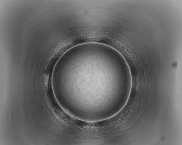 X0000096190742200801251240