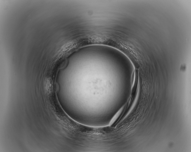 X0000096190743200801251240