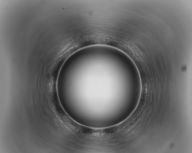 X0000096190744200801251240