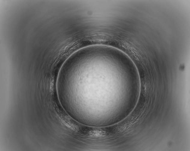 X0000096190745200801251240