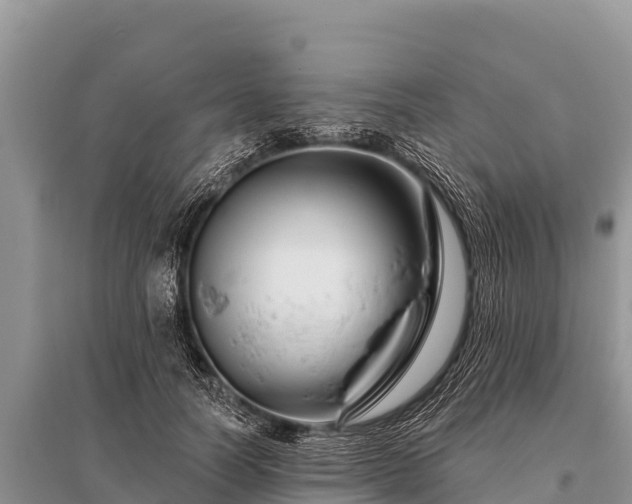 X0000096190746200801251240