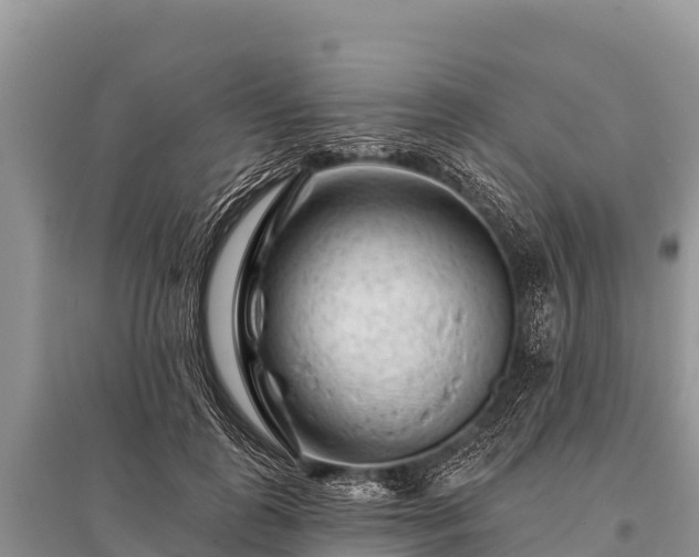 X0000096190747200801251240