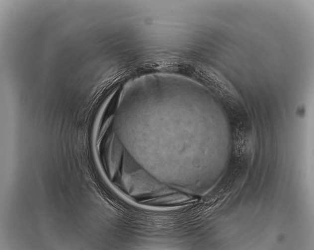 X0000096190748200801251240