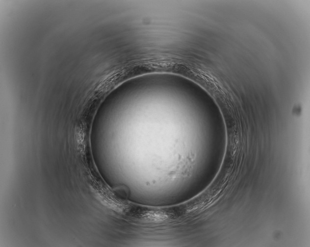 X0000096190749200801251240