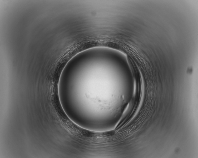 X0000096190750200801251240