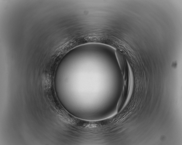 X0000096190751200801251240