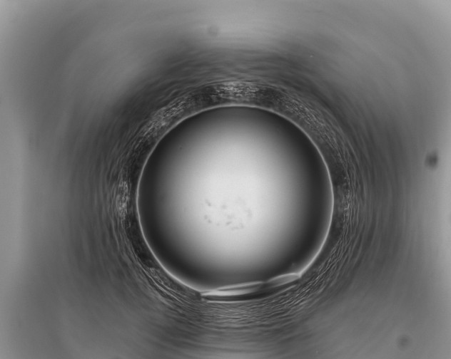 X0000096190752200801251240