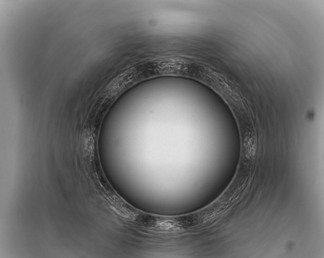 X0000096190753200801251240