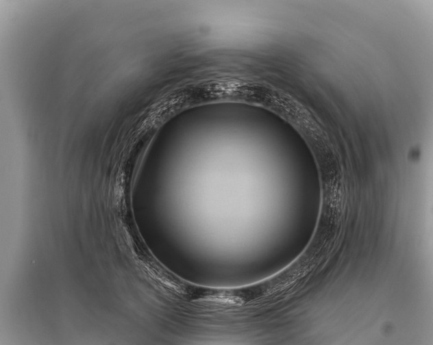 X0000096190754200801251240