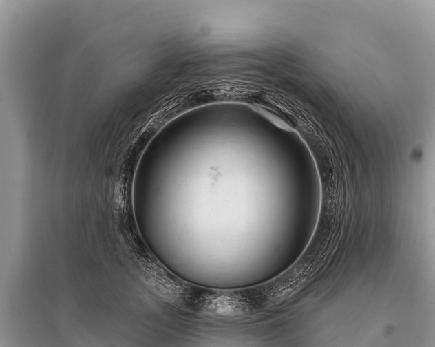 X0000096190755200801251240