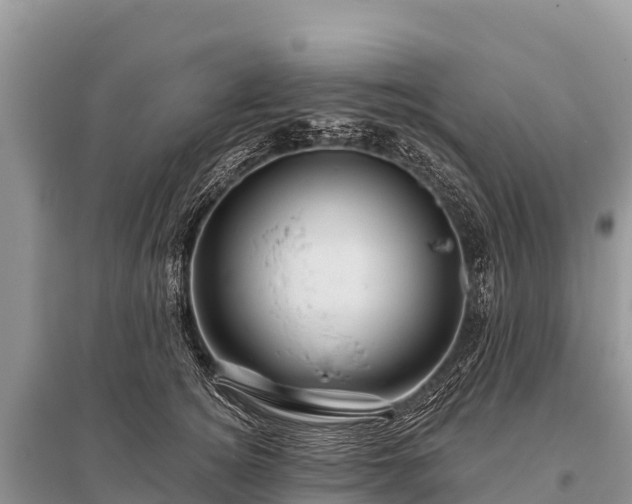 X0000096190756200801251240