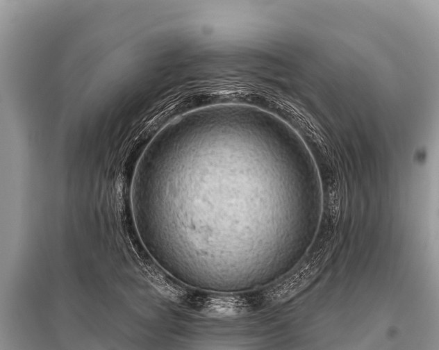 X0000096190757200801251240