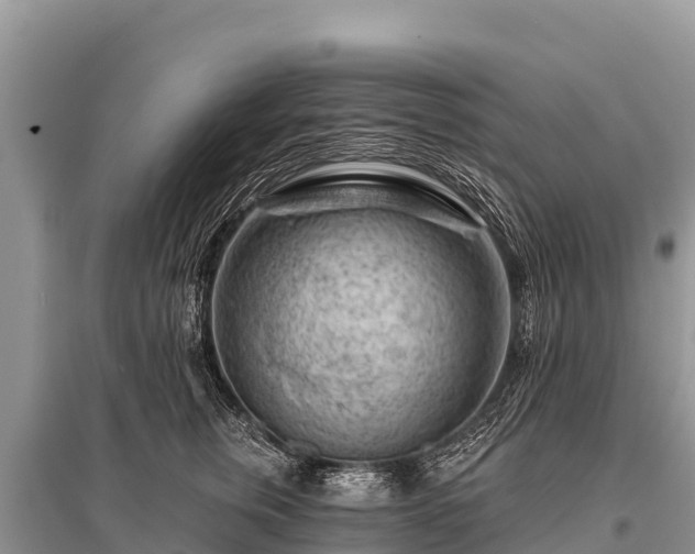 X0000096190759200801251240