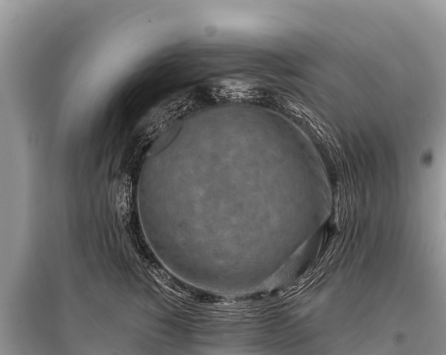 X0000096190760200801251240