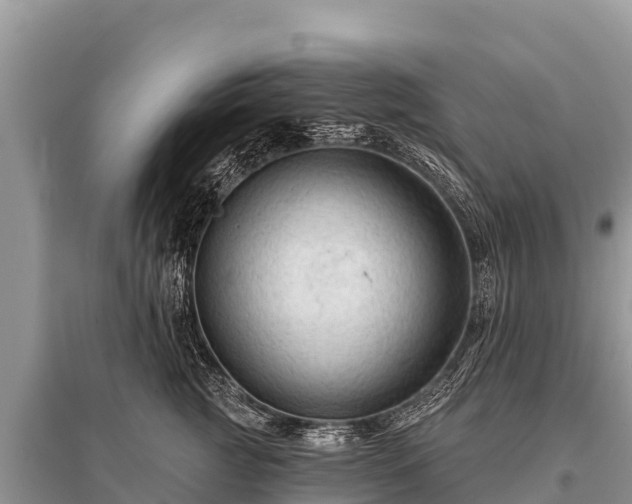 X0000096190761200801251240