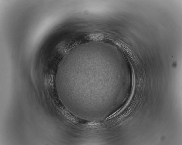 X0000096190762200801251240