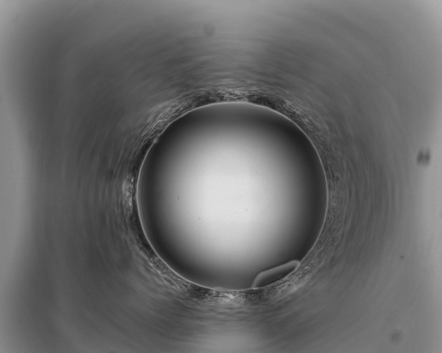 X0000096190768200801251240