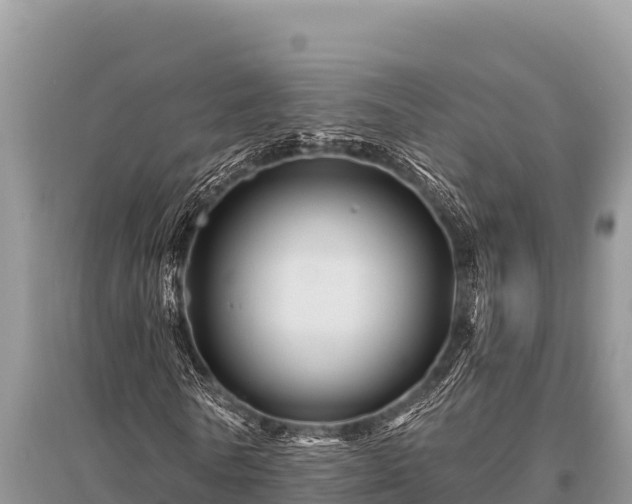 X0000096190770200801251239