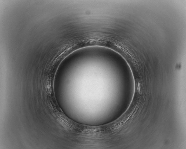 X0000096190771200801251239