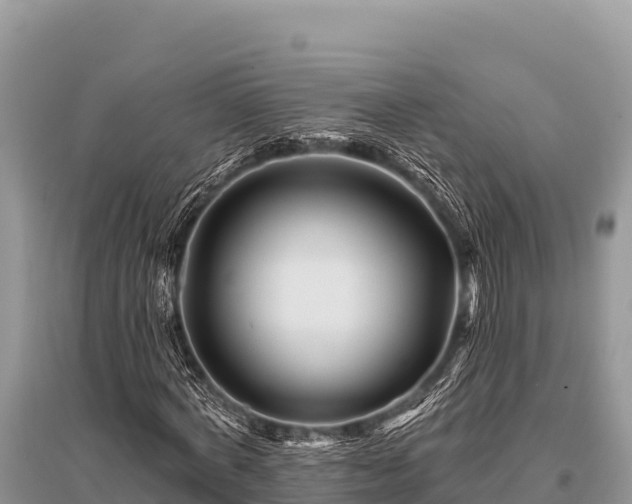 X0000096190772200801251239