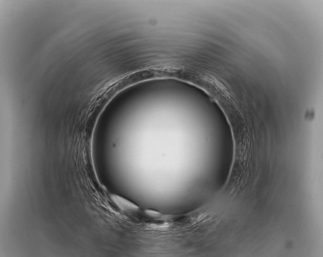X0000096190773200801251239