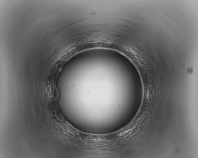 X0000096190774200801251239