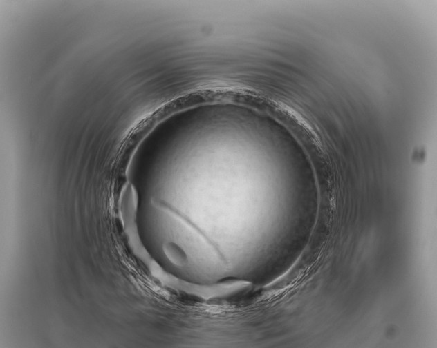 X0000096190775200801251239