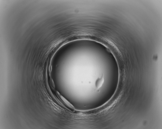 X0000096190777200801251239
