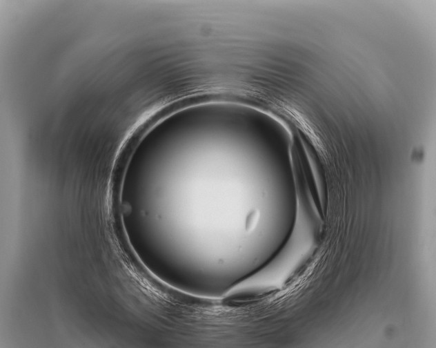 X0000096190780200801251239