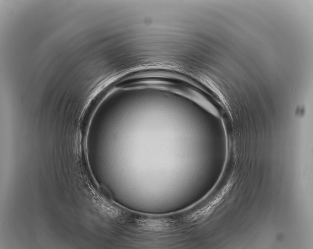 X0000096190781200801251239