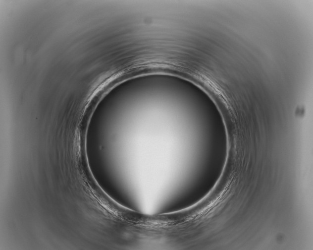 X0000096190782200801251239