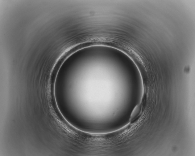 X0000096190784200801251239