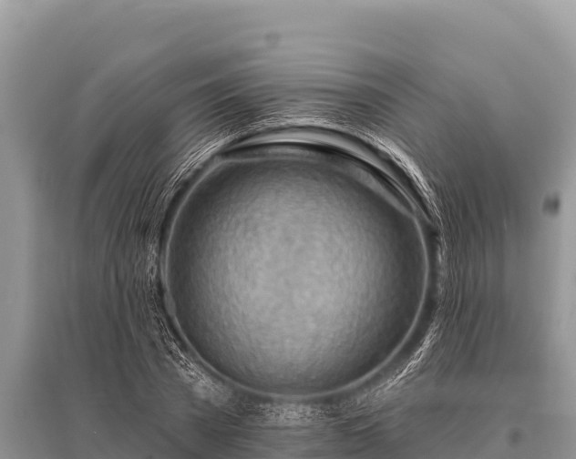 X0000096190785200801251239