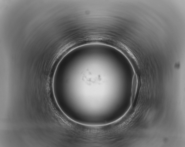 X0000096190786200801251239