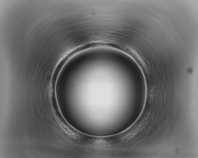 X0000096190787200801251239