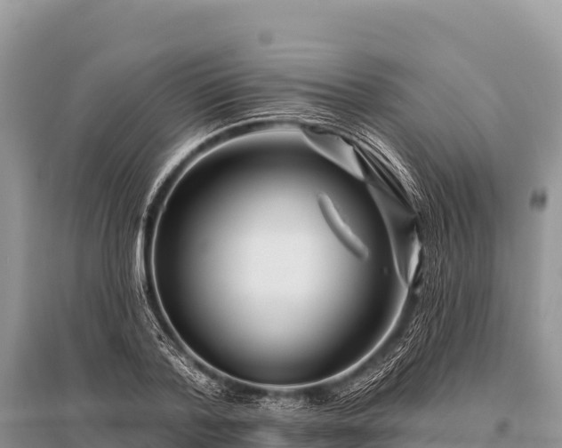 X0000096190788200801251239
