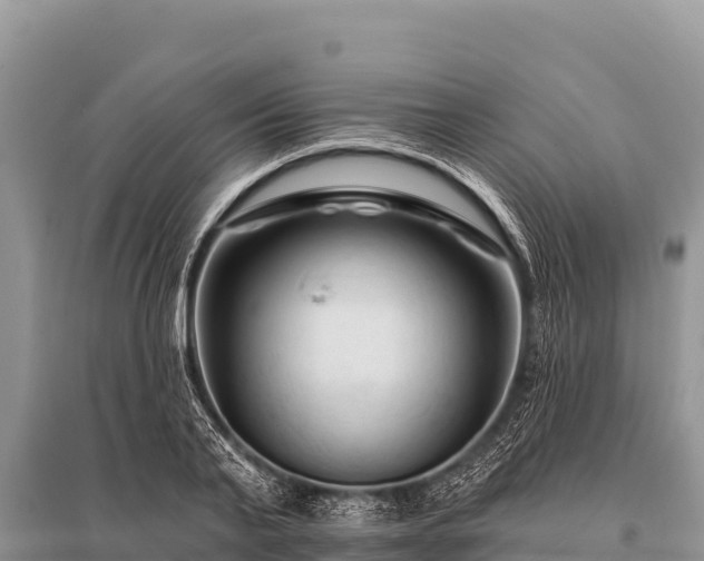 X0000096190791200801251239