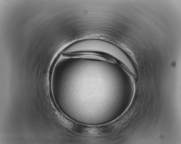 X0000096190792200801251239
