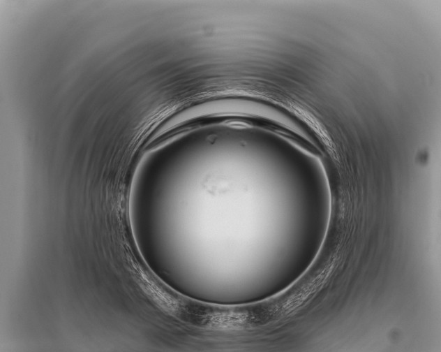 X0000096190793200801251239
