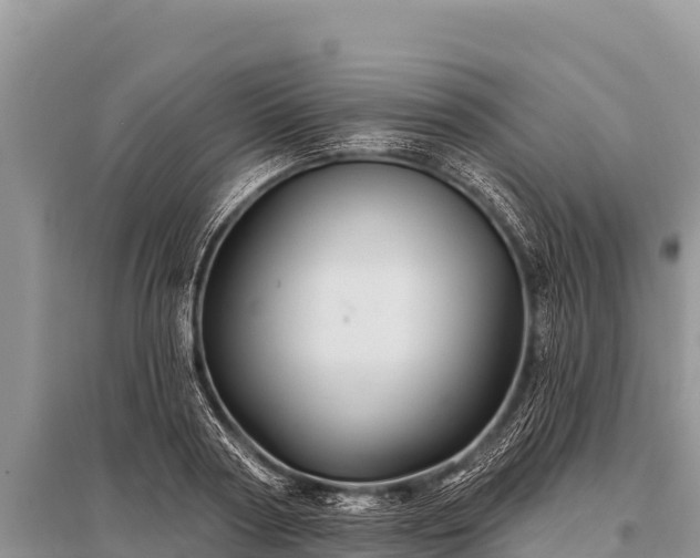 X0000096190794200801251239