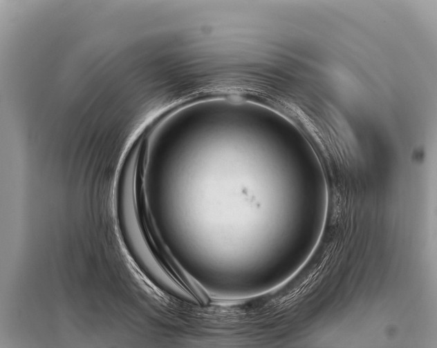 X0000096190795200801251239