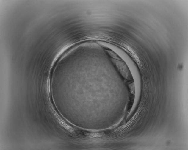 X0000096190796200801251239