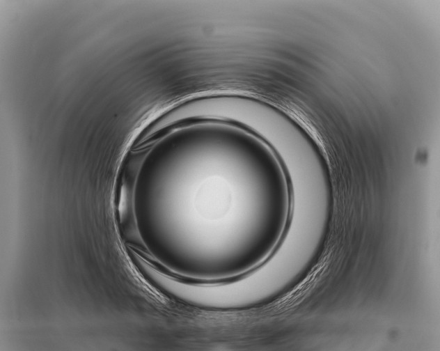 X0000096190797200801251239