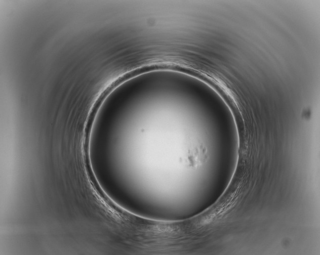 X0000096190799200801251239