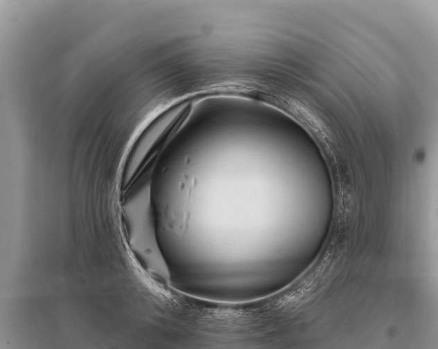 X0000096190800200801251239