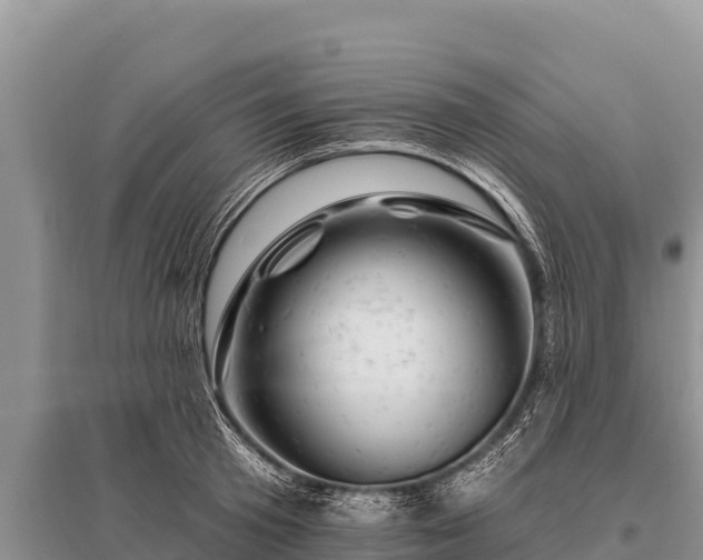 X0000096190801200801251239